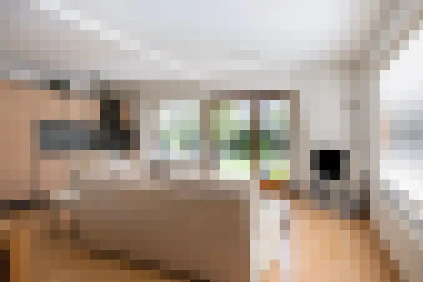 Tilgrupweg 35 Oude Willem thumbnail 5