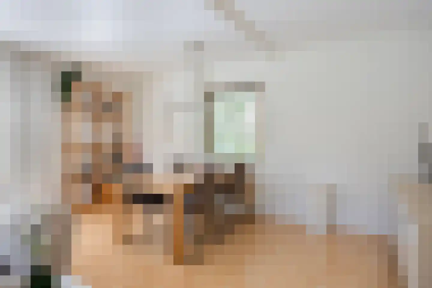 Tilgrupweg 35 Oude Willem thumbnail 9