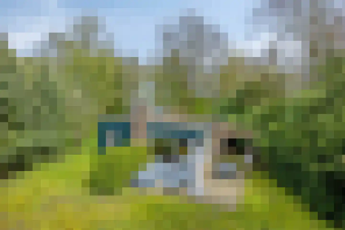 Tilgrupweg 60 Oude Willem thumbnail 20