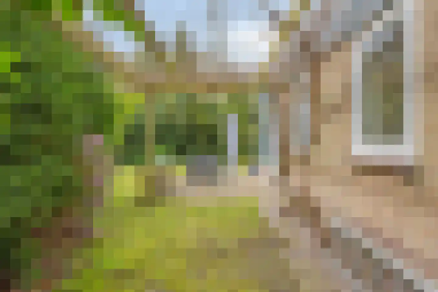 Tilgrupweg 60 Oude Willem thumbnail 24