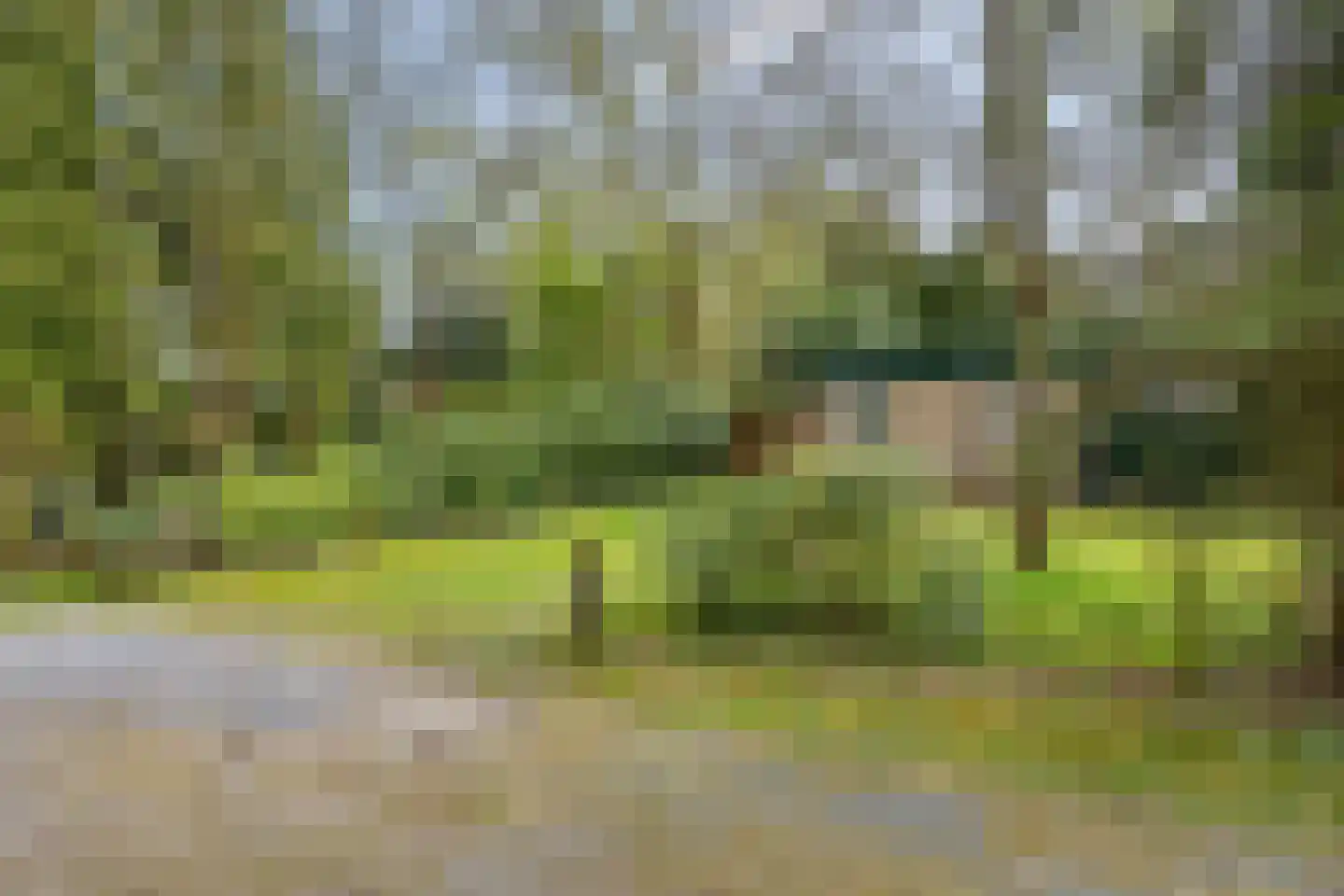 Tilgrupweg 60 Oude Willem thumbnail 28