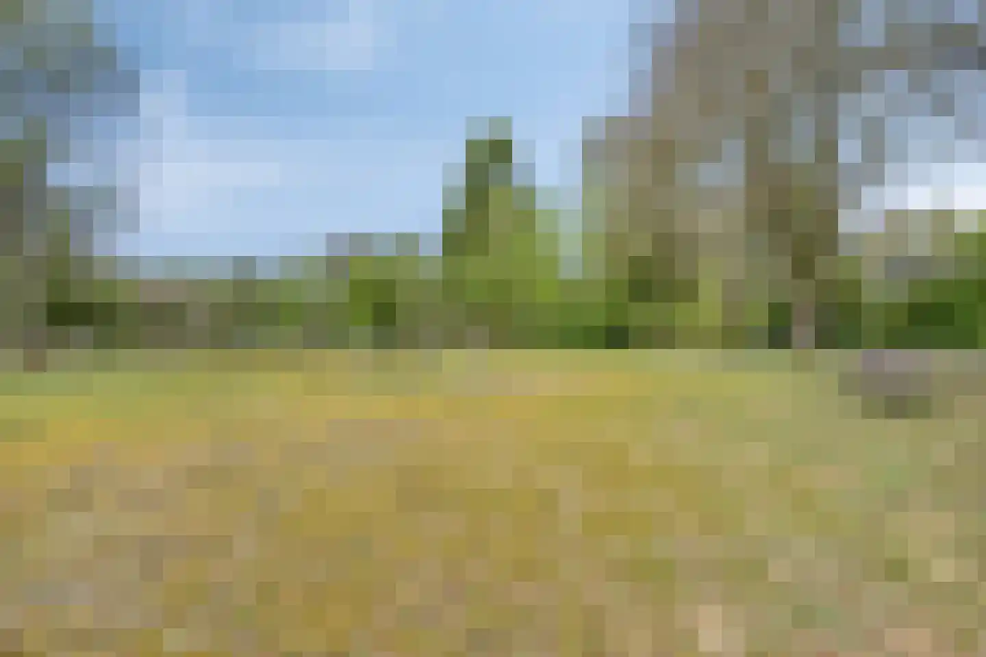 Tilgrupweg 60 Oude Willem thumbnail 29