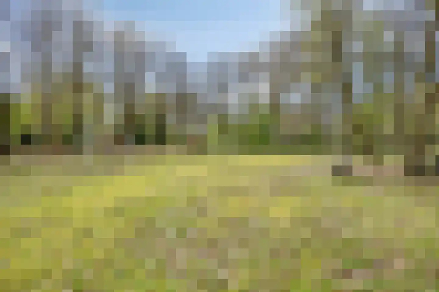 Tilgrupweg 60 Oude Willem thumbnail 30