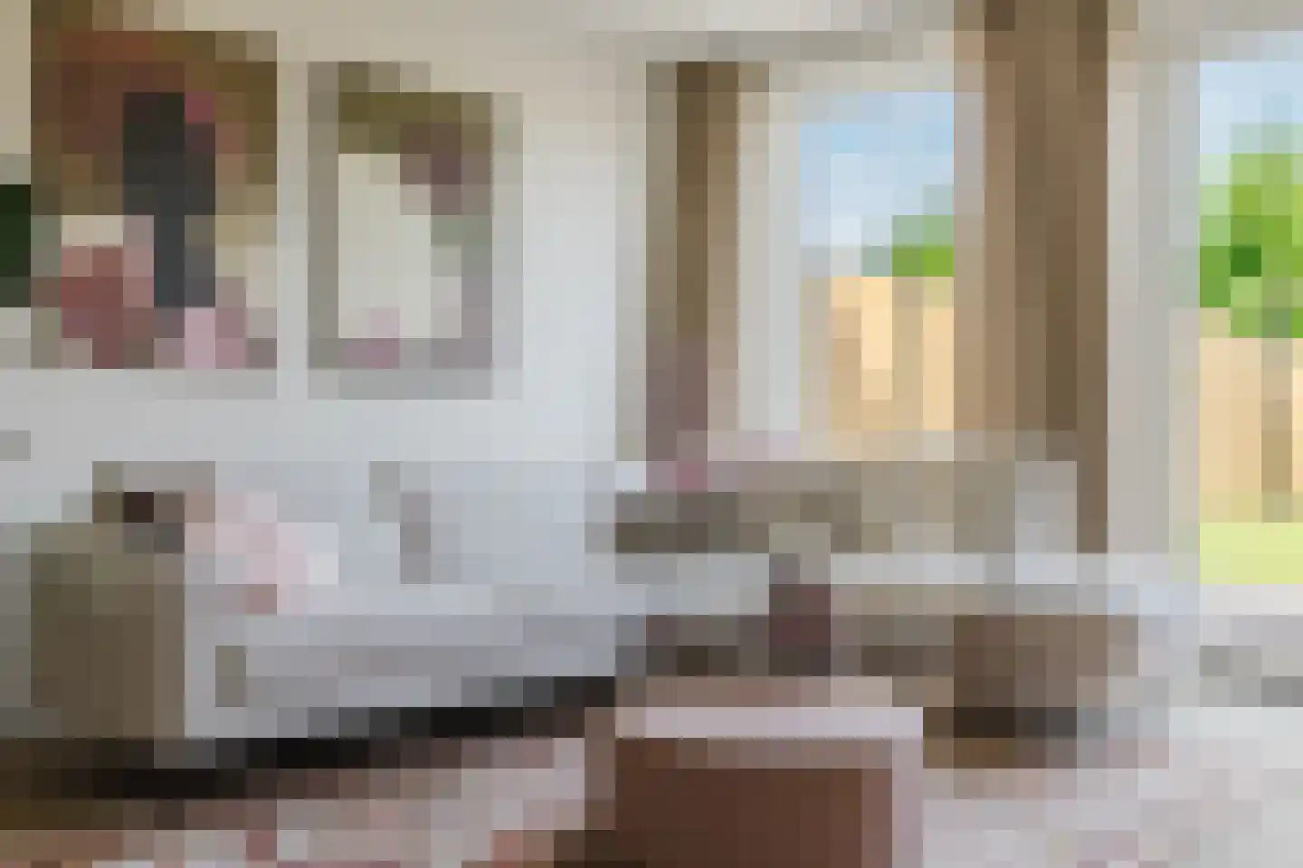 Tiliastraat 13 St. Willebrord thumbnail 16
