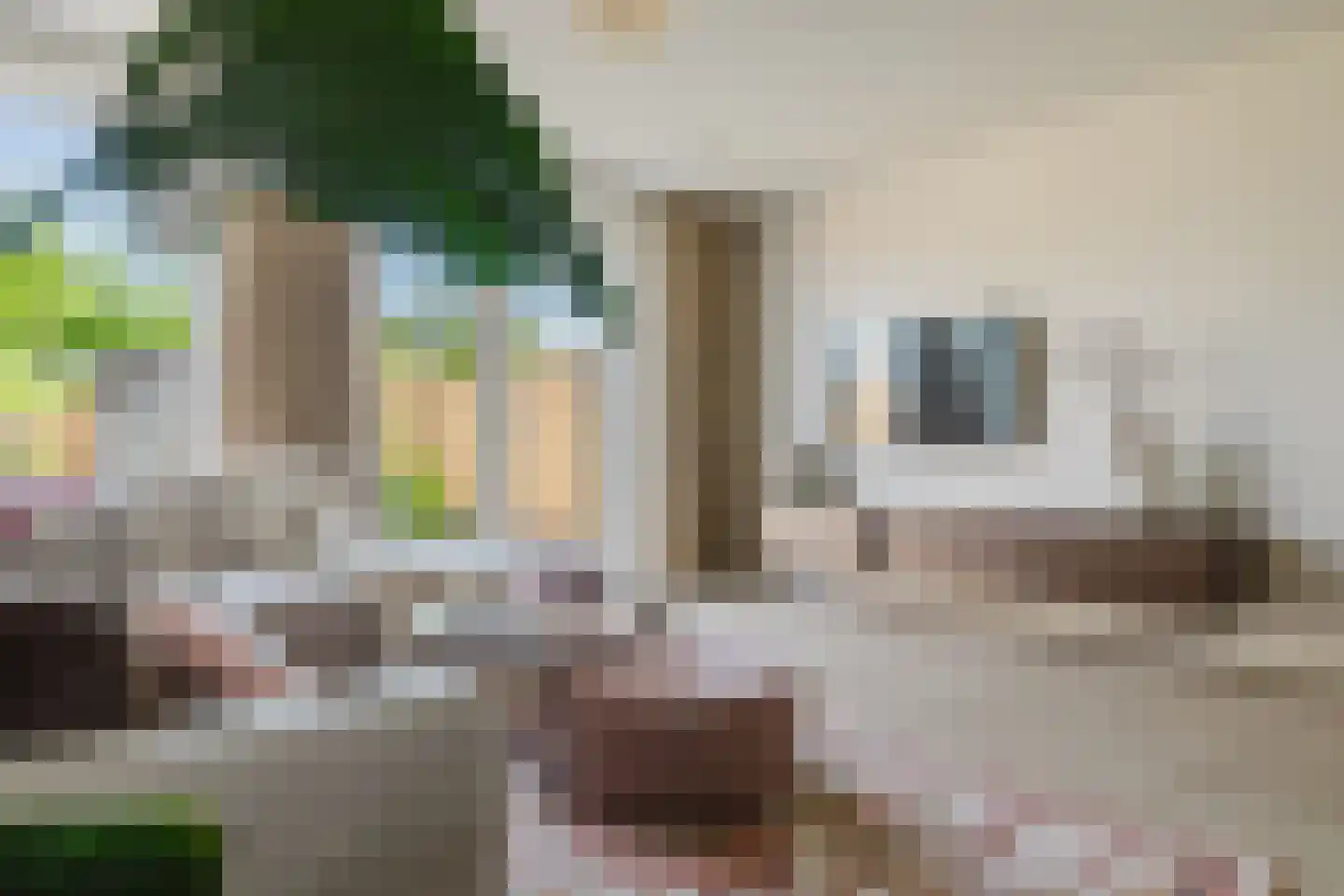 Tiliastraat 13 St. Willebrord thumbnail 17