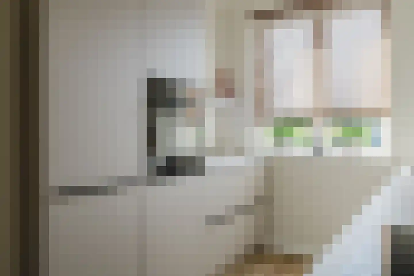 Tiliastraat 13 St. Willebrord thumbnail 19