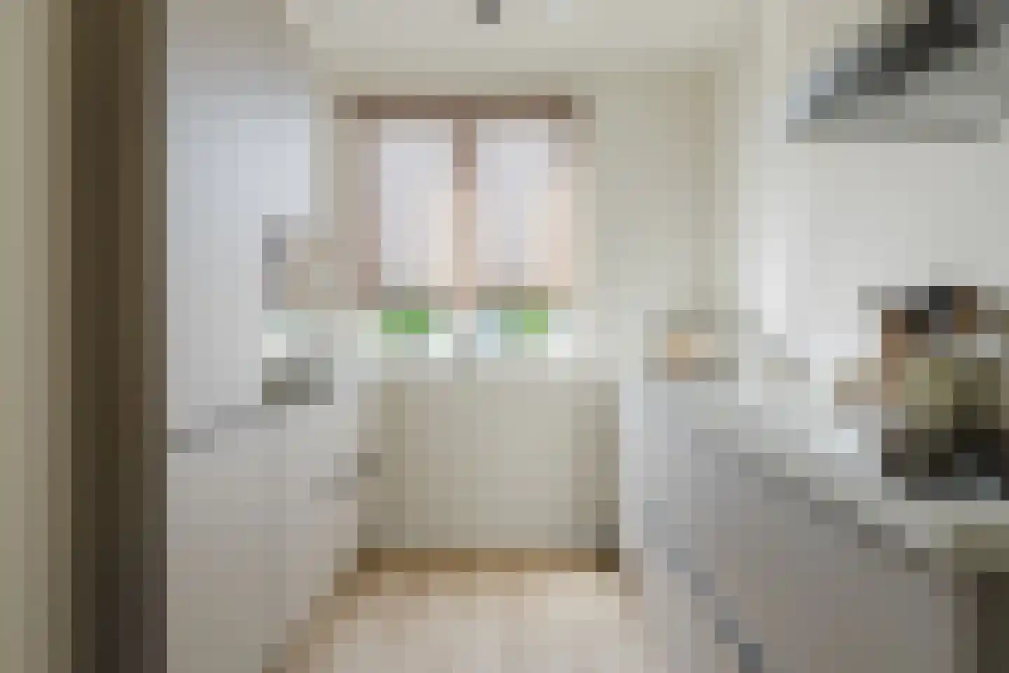 Tiliastraat 13 St. Willebrord thumbnail 20