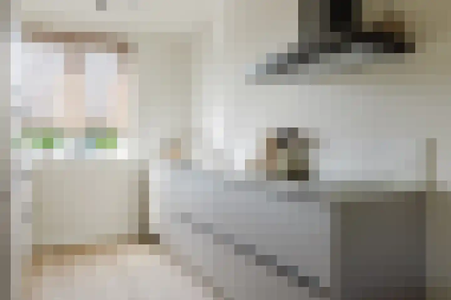 Tiliastraat 13 St. Willebrord thumbnail 21