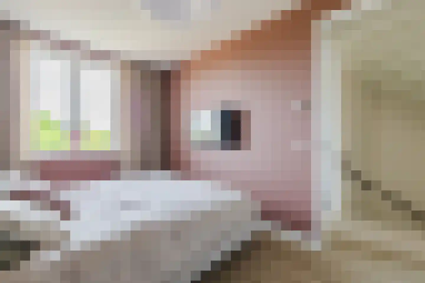 Tiliastraat 13 St. Willebrord thumbnail 23
