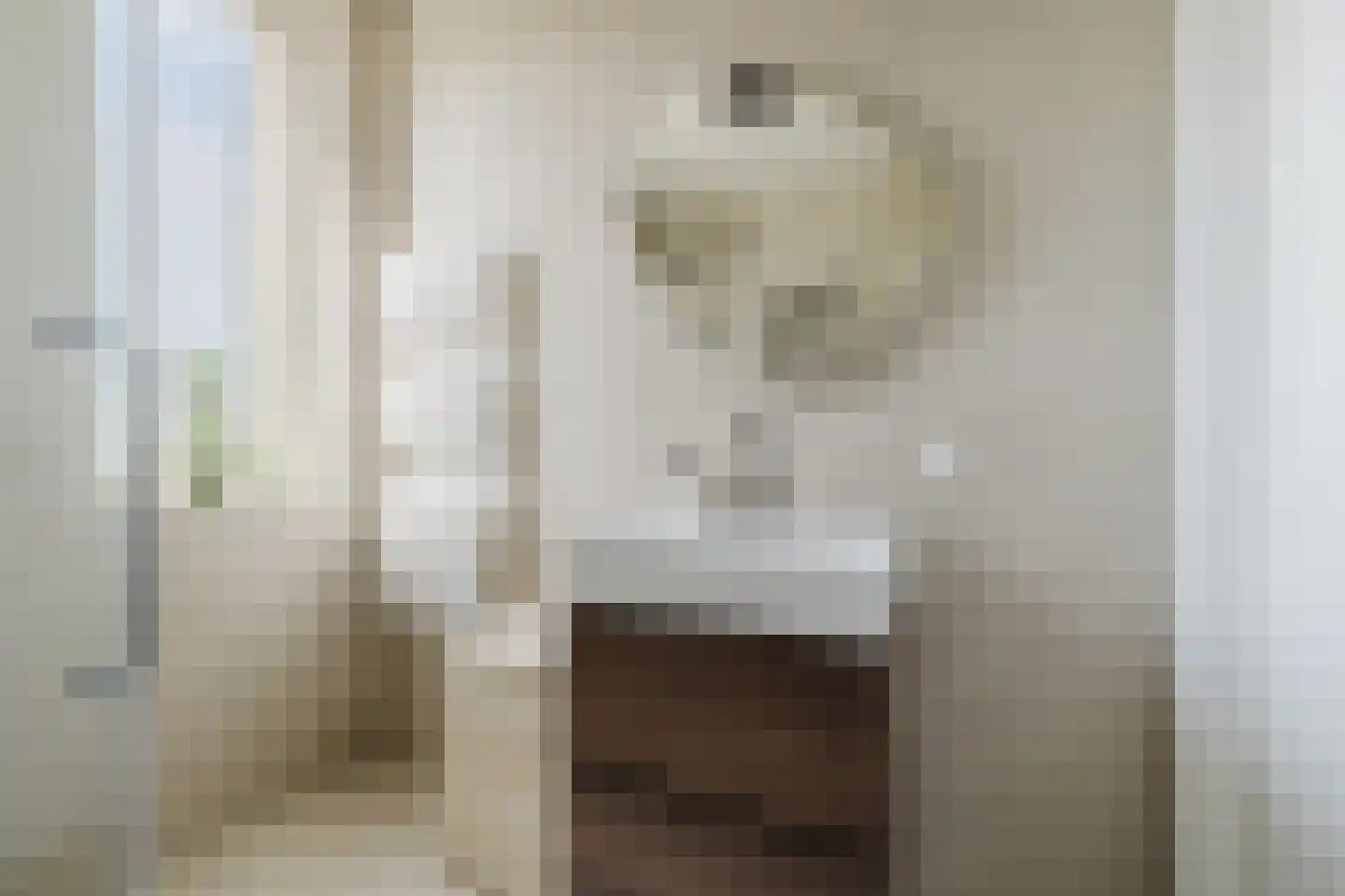 Tiliastraat 13 St. Willebrord thumbnail 32