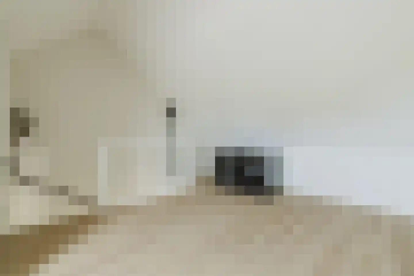 Tiliastraat 13 St. Willebrord thumbnail 37