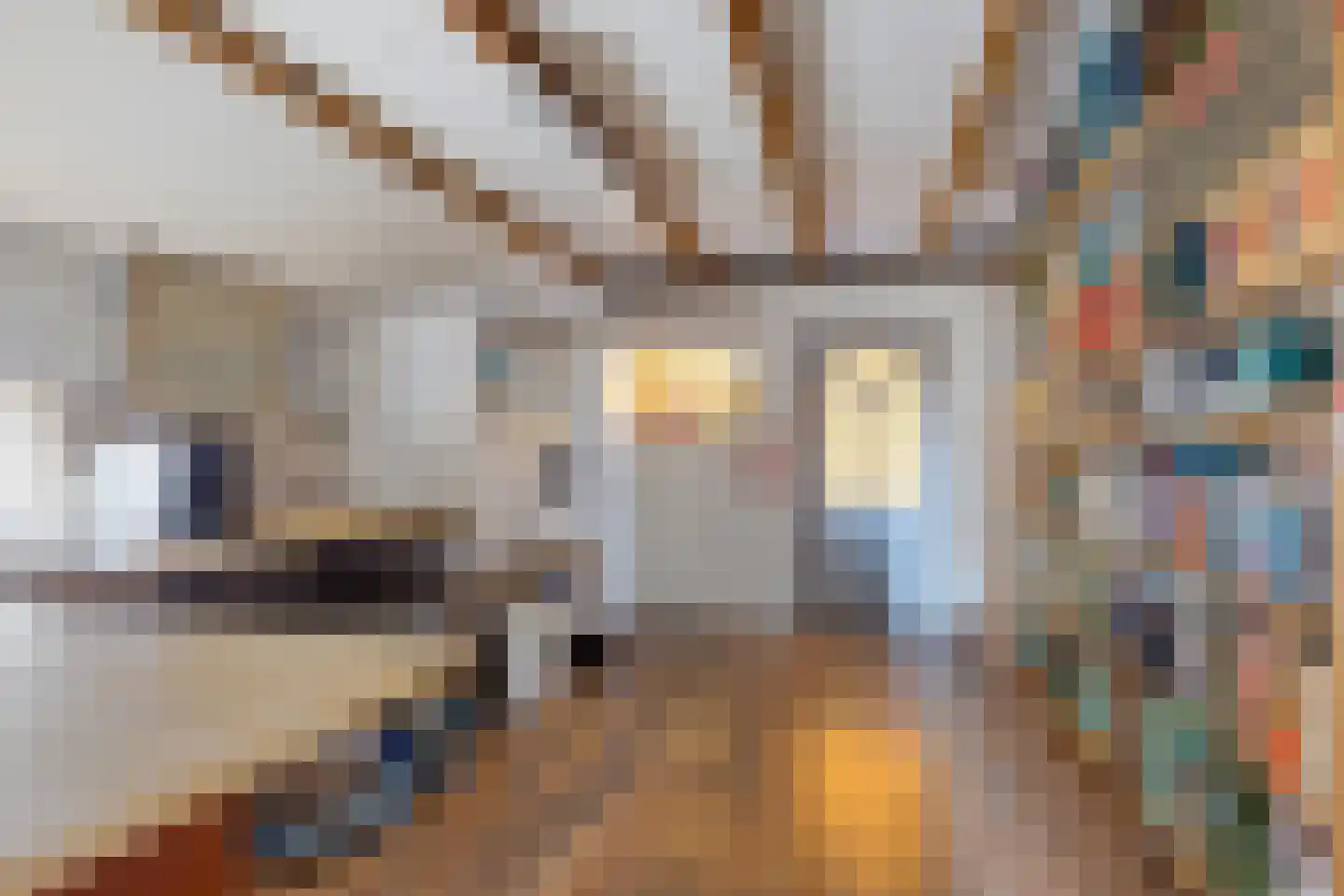 Tillebuorren 7 Kootstertille thumbnail 12