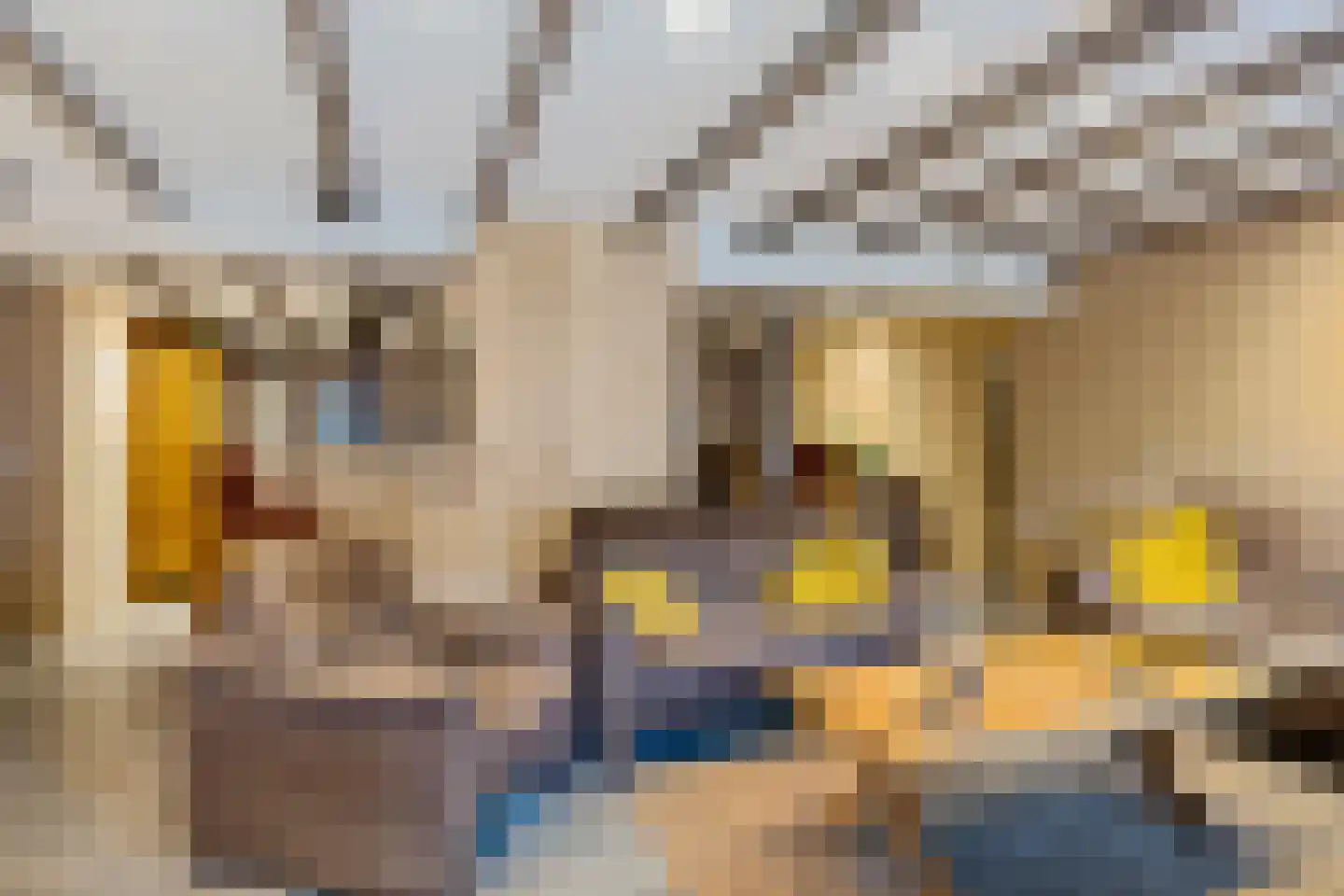 Tillebuorren 7 Kootstertille thumbnail 22