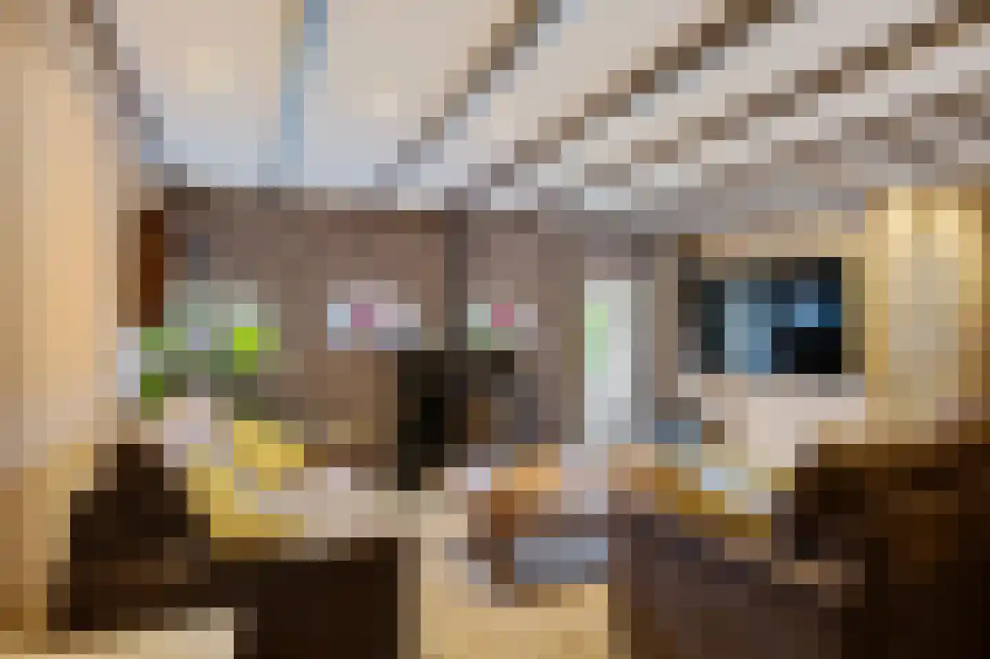 Tillebuorren 7 Kootstertille thumbnail 23