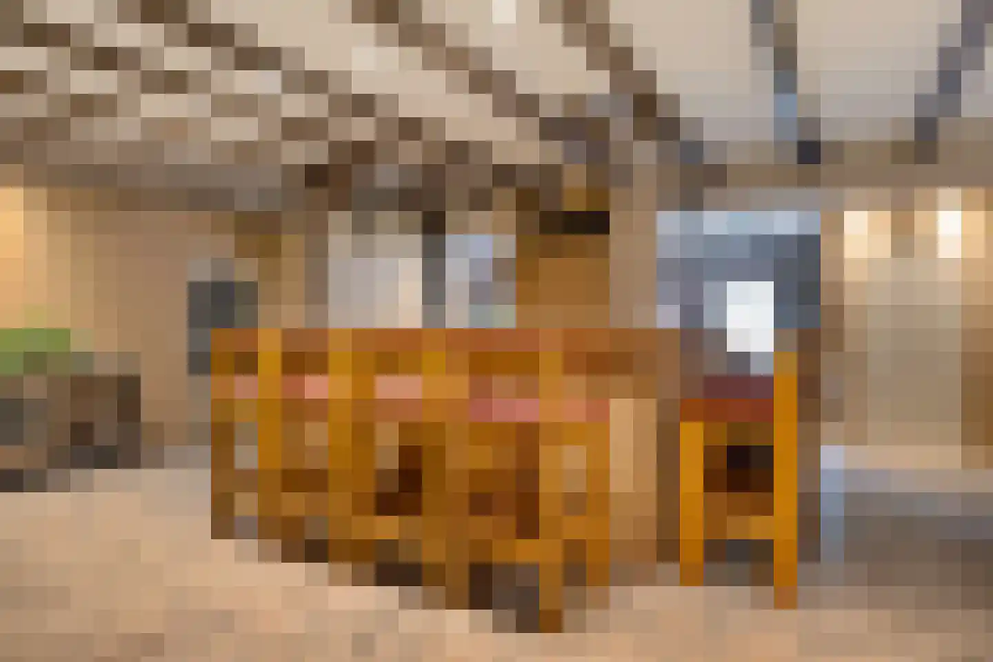 Tillebuorren 7 Kootstertille thumbnail 24