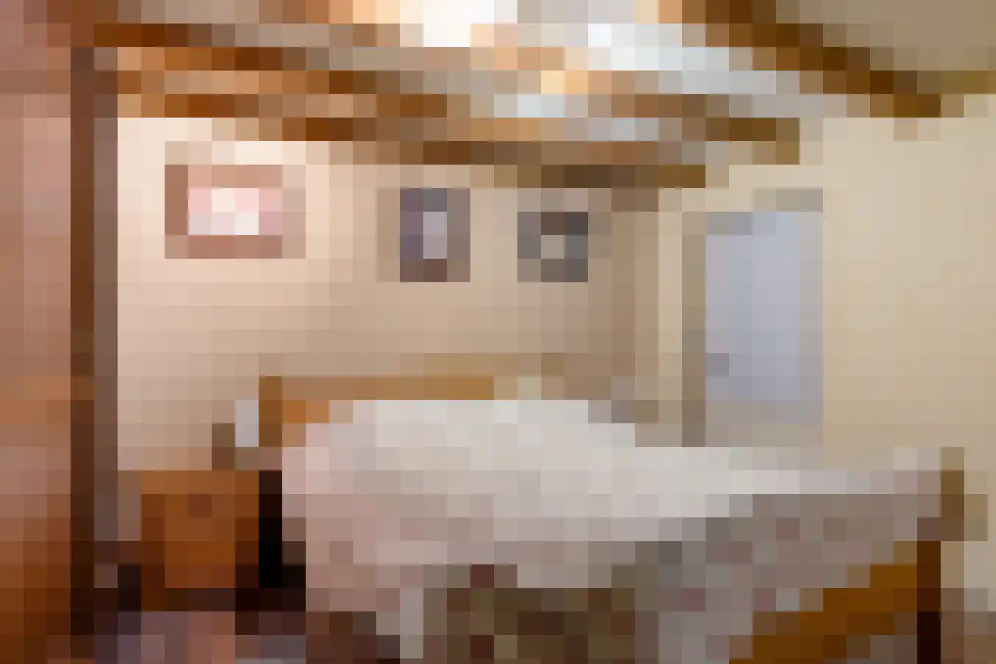 Tillebuorren 7 Kootstertille thumbnail 25