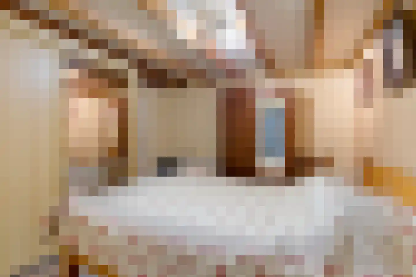 Tillebuorren 7 Kootstertille thumbnail 26