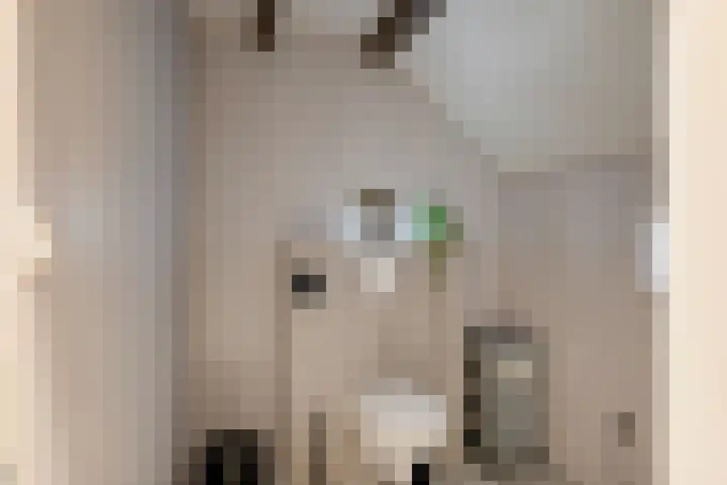 Tillebuorren 7 Kootstertille thumbnail 27