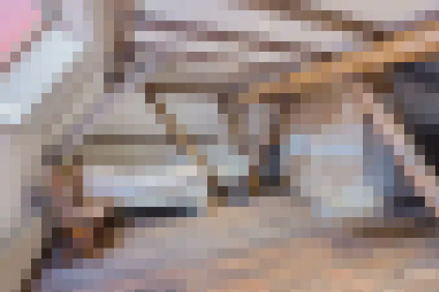 Tillebuorren 7 Kootstertille thumbnail 37