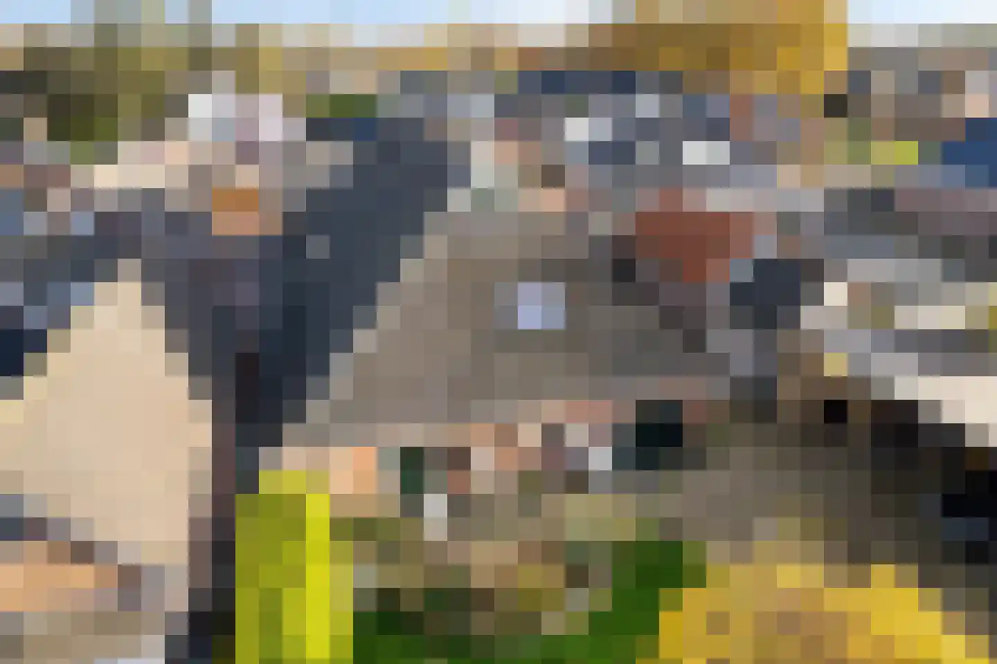 Tillebuorren 7 Kootstertille thumbnail 38