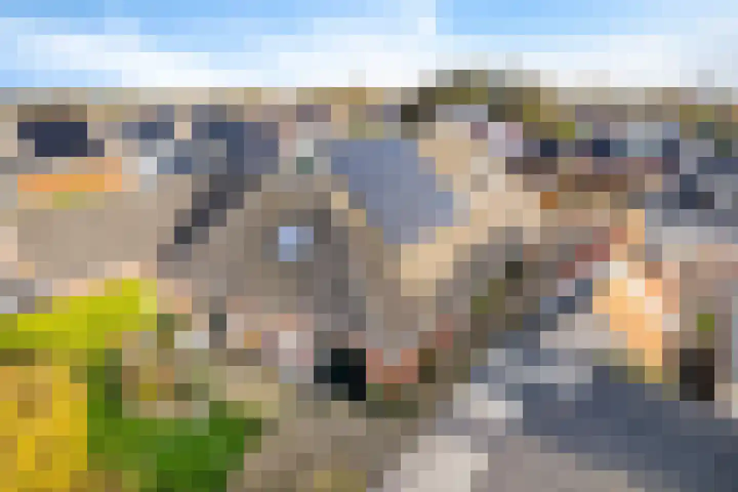 Tillebuorren 7 Kootstertille thumbnail 39
