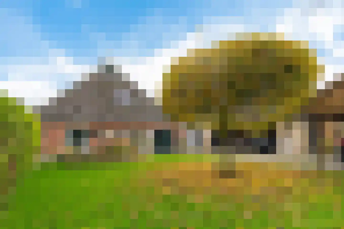 Tillebuorren 7 Kootstertille thumbnail 41