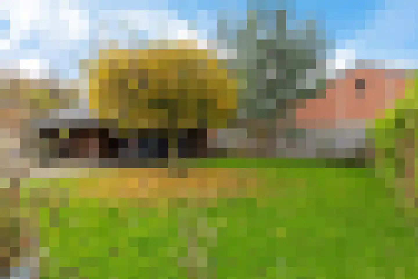 Tillebuorren 7 Kootstertille thumbnail 44
