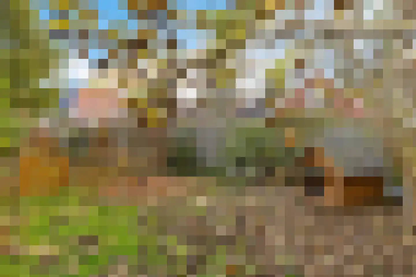Tillebuorren 7 Kootstertille thumbnail 45