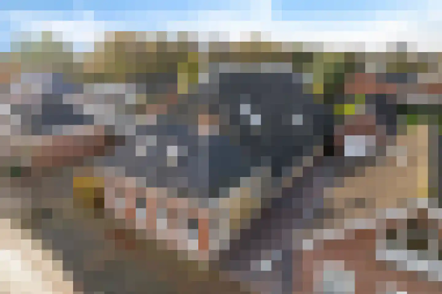 Tillebuorren 7 Kootstertille thumbnail 49