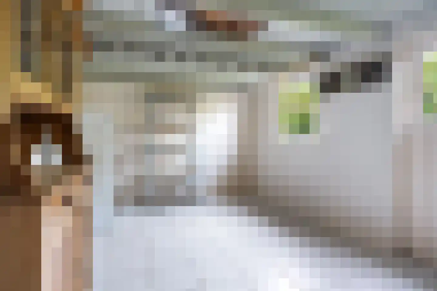 Tilledyk 14 Minnertsga thumbnail 18