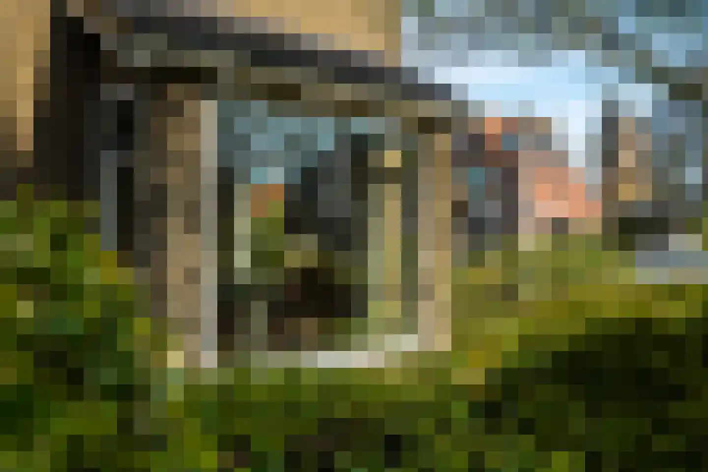 Tilledyk 14 Minnertsga thumbnail 32
