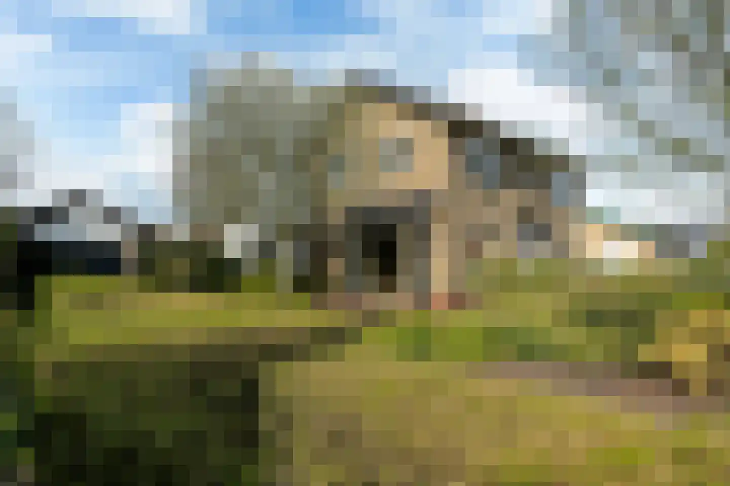Tilledyk 14 Minnertsga thumbnail 36