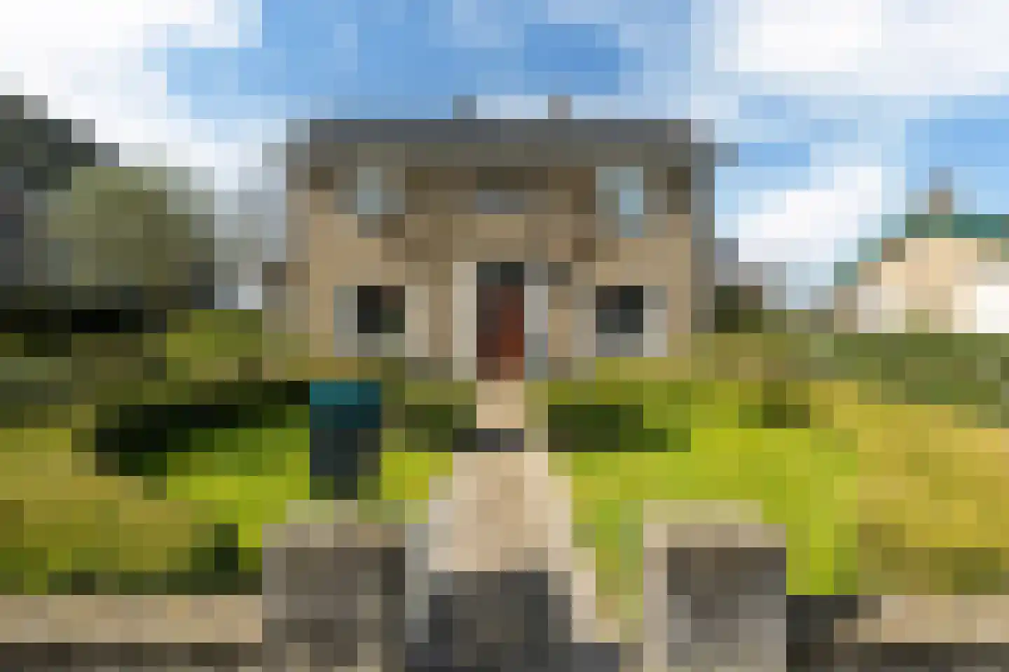 Tilledyk 14 Minnertsga thumbnail 4