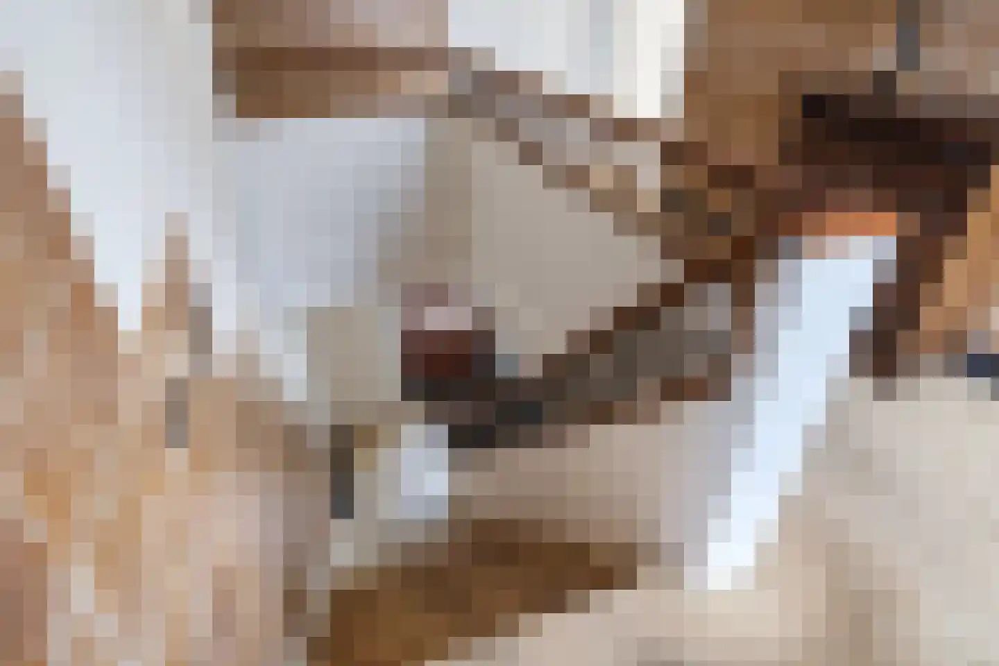 Tilledyk 14 Minnertsga thumbnail 40