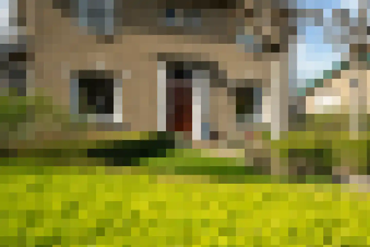 Tilledyk 14 Minnertsga thumbnail 5