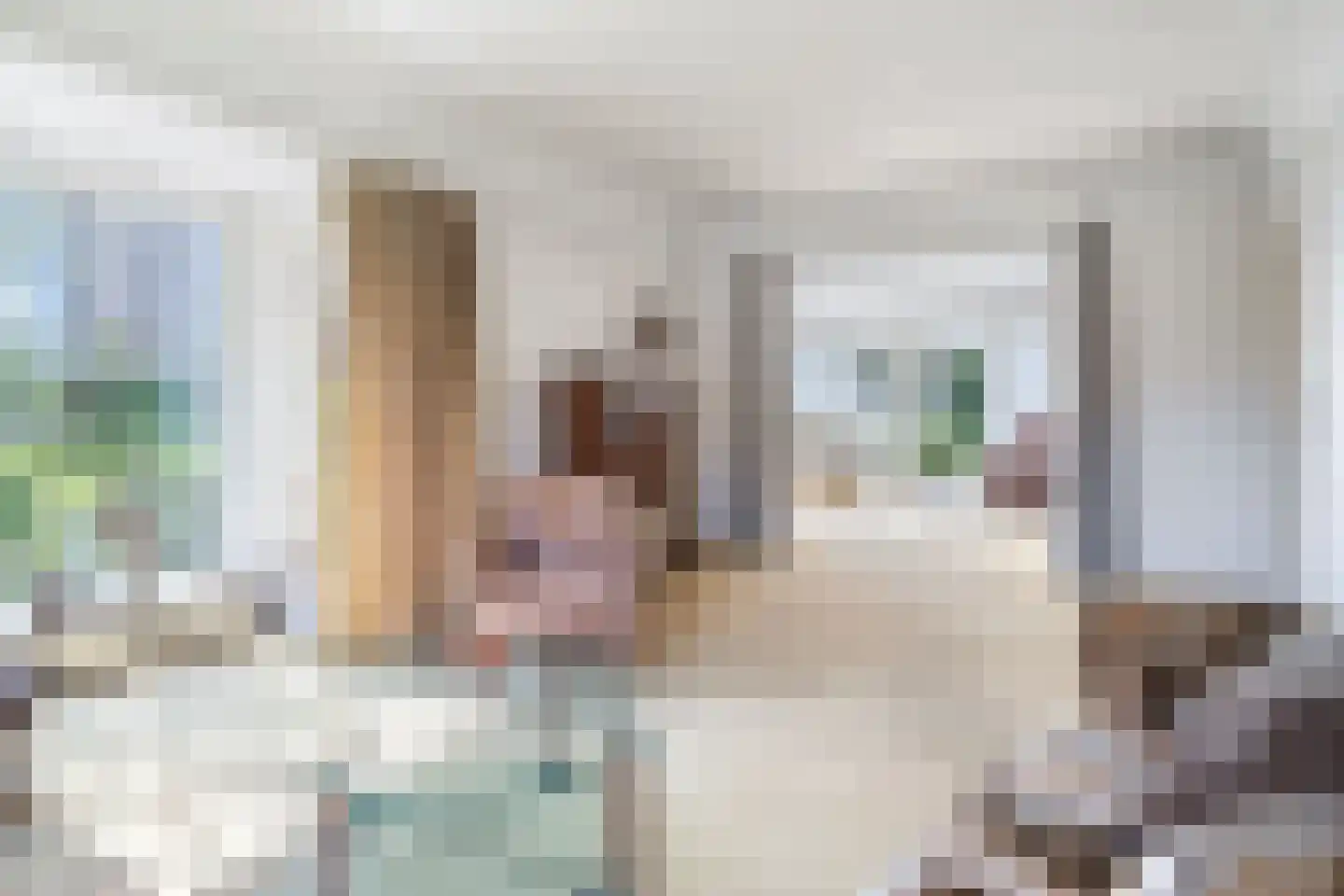 Tilledyk 14 Minnertsga thumbnail 9