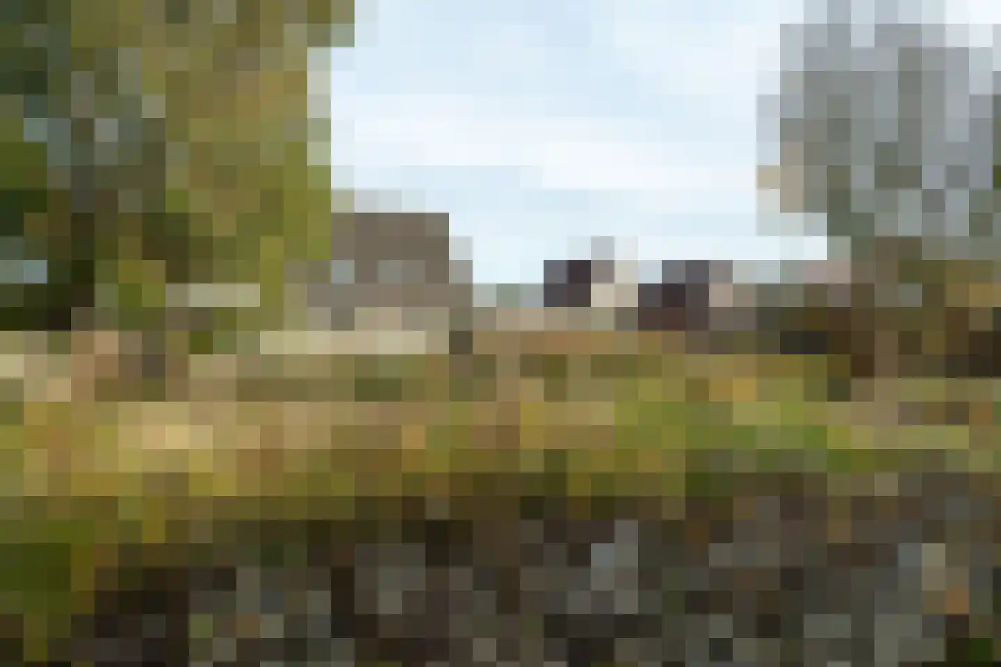 Tilledyk 15 Minnertsga thumbnail 11