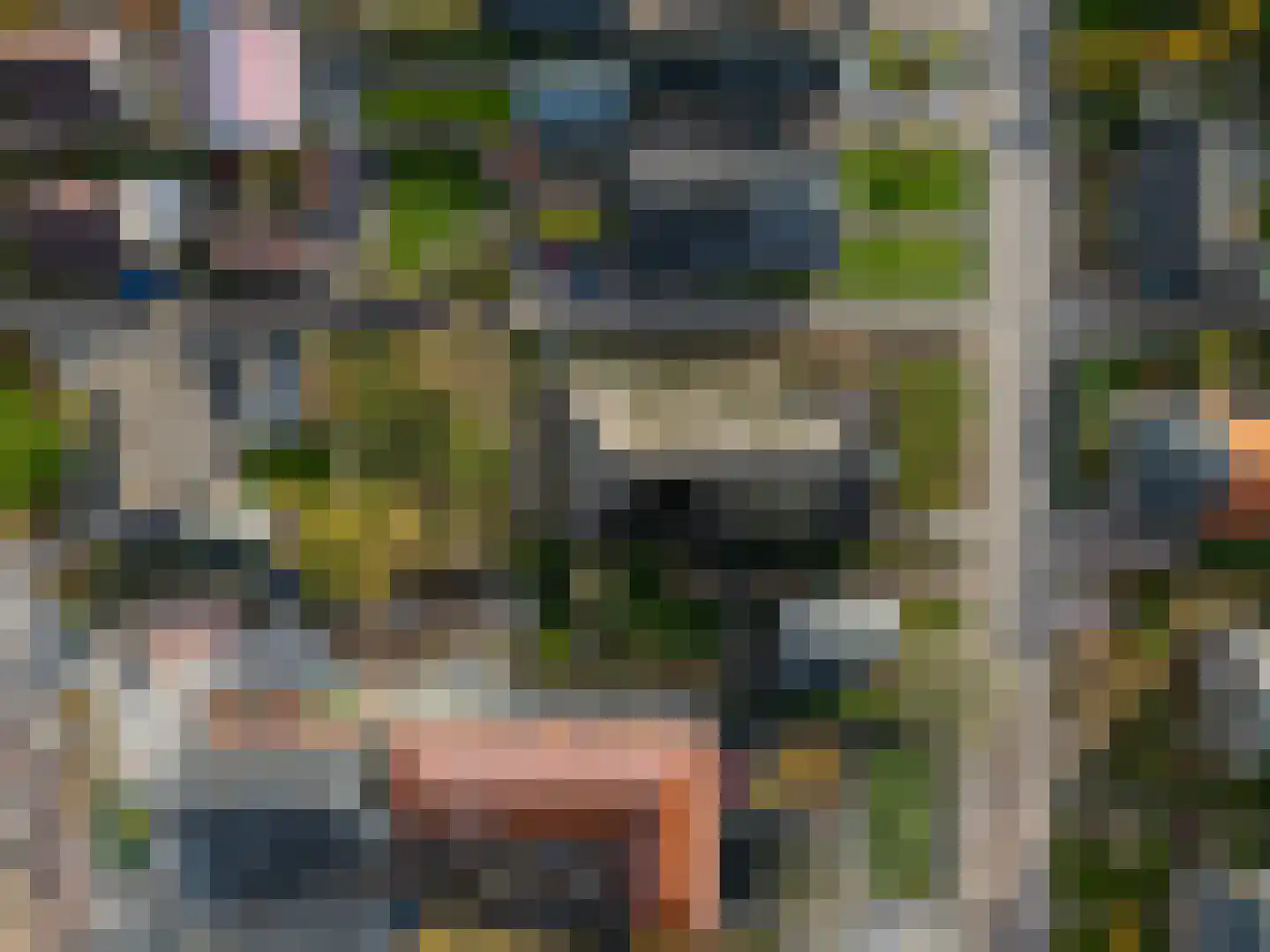 Tilledyk 15 Minnertsga thumbnail 16