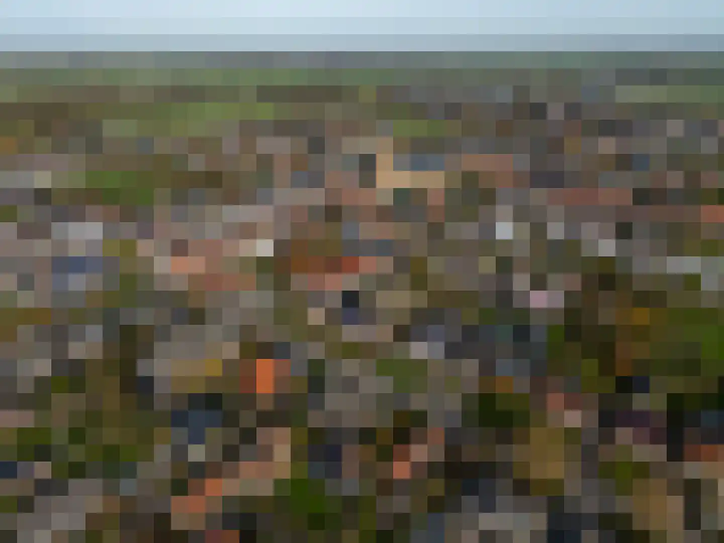 Tilledyk 15 Minnertsga thumbnail 19