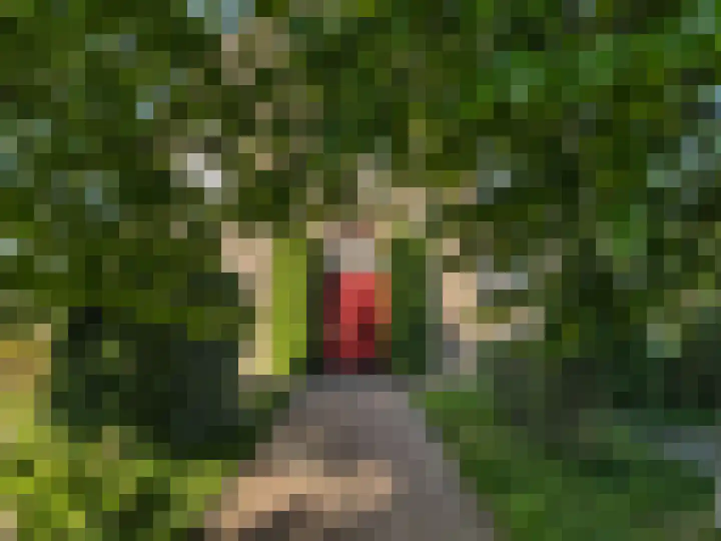 Tilledyk 16 Minnertsga thumbnail 11