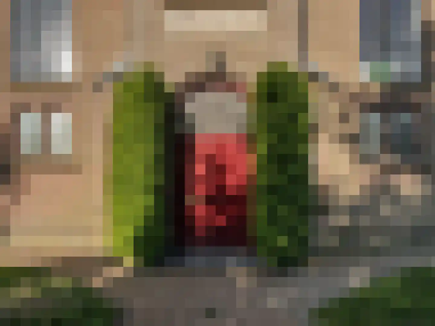 Tilledyk 16 Minnertsga thumbnail 12