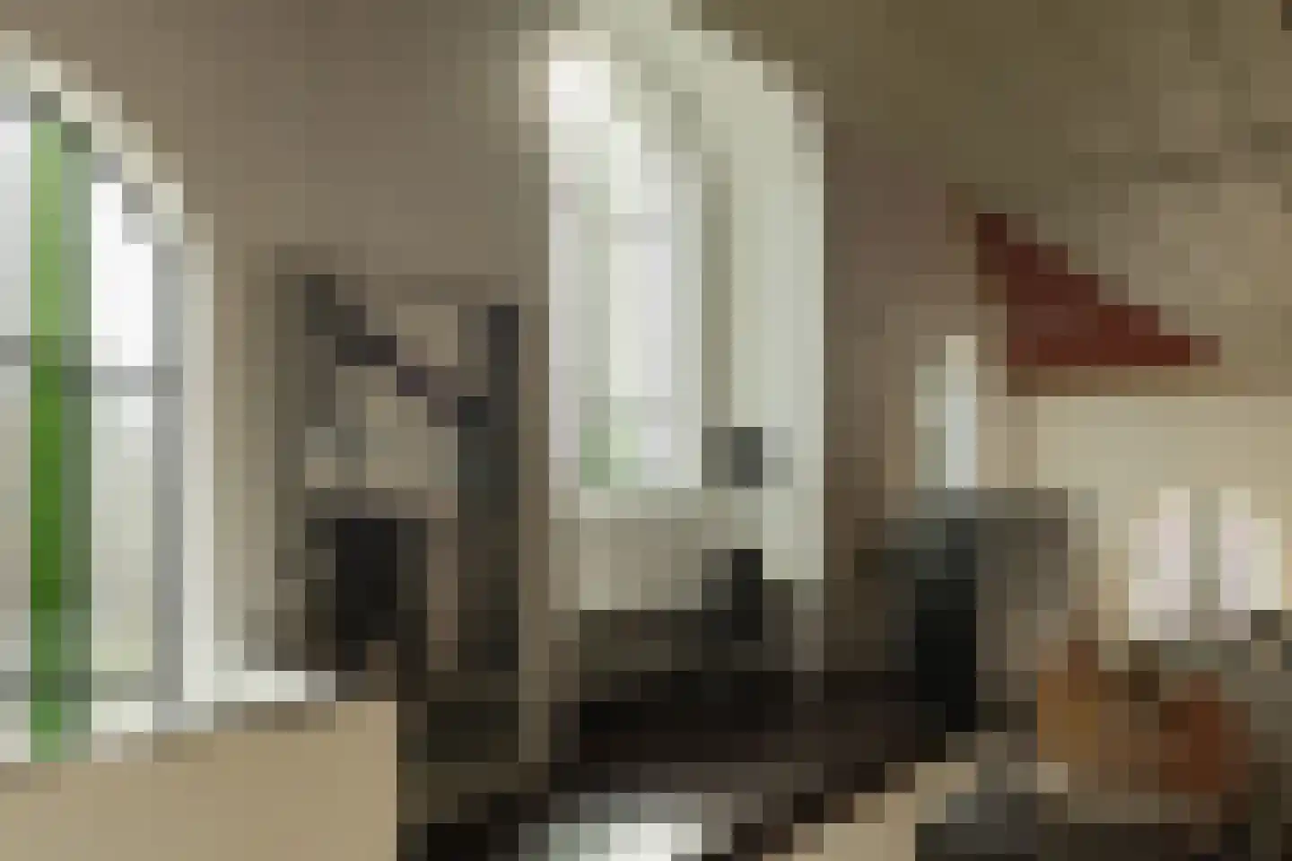 Tilledyk 16 Minnertsga thumbnail 18