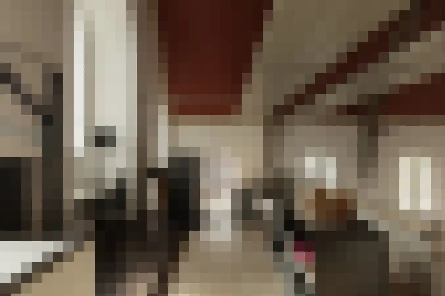 Tilledyk 16 Minnertsga thumbnail 20