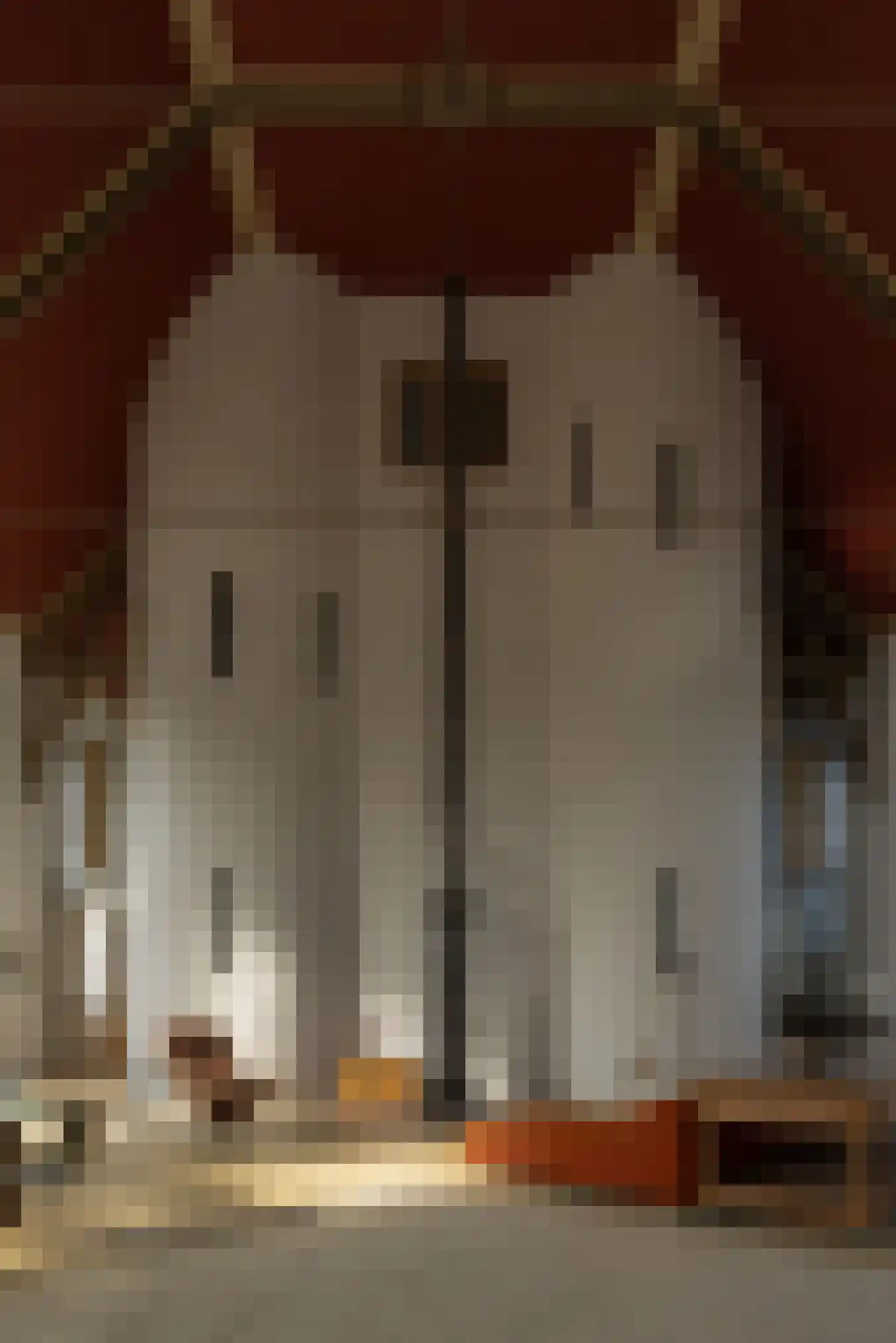 Tilledyk 16 Minnertsga thumbnail 22