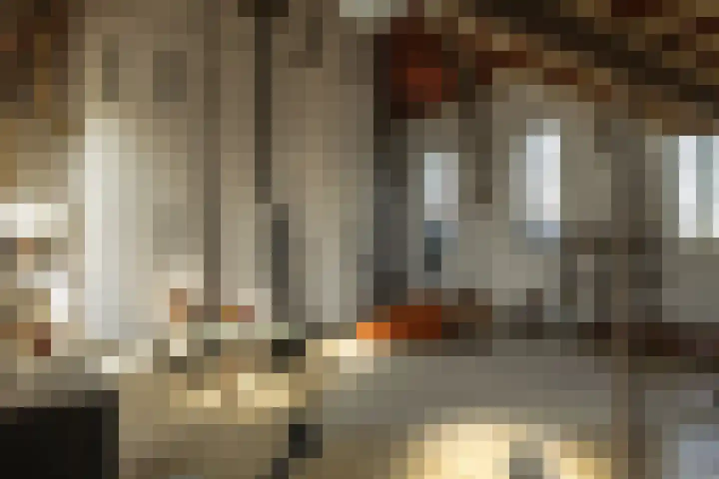 Tilledyk 16 Minnertsga thumbnail 25