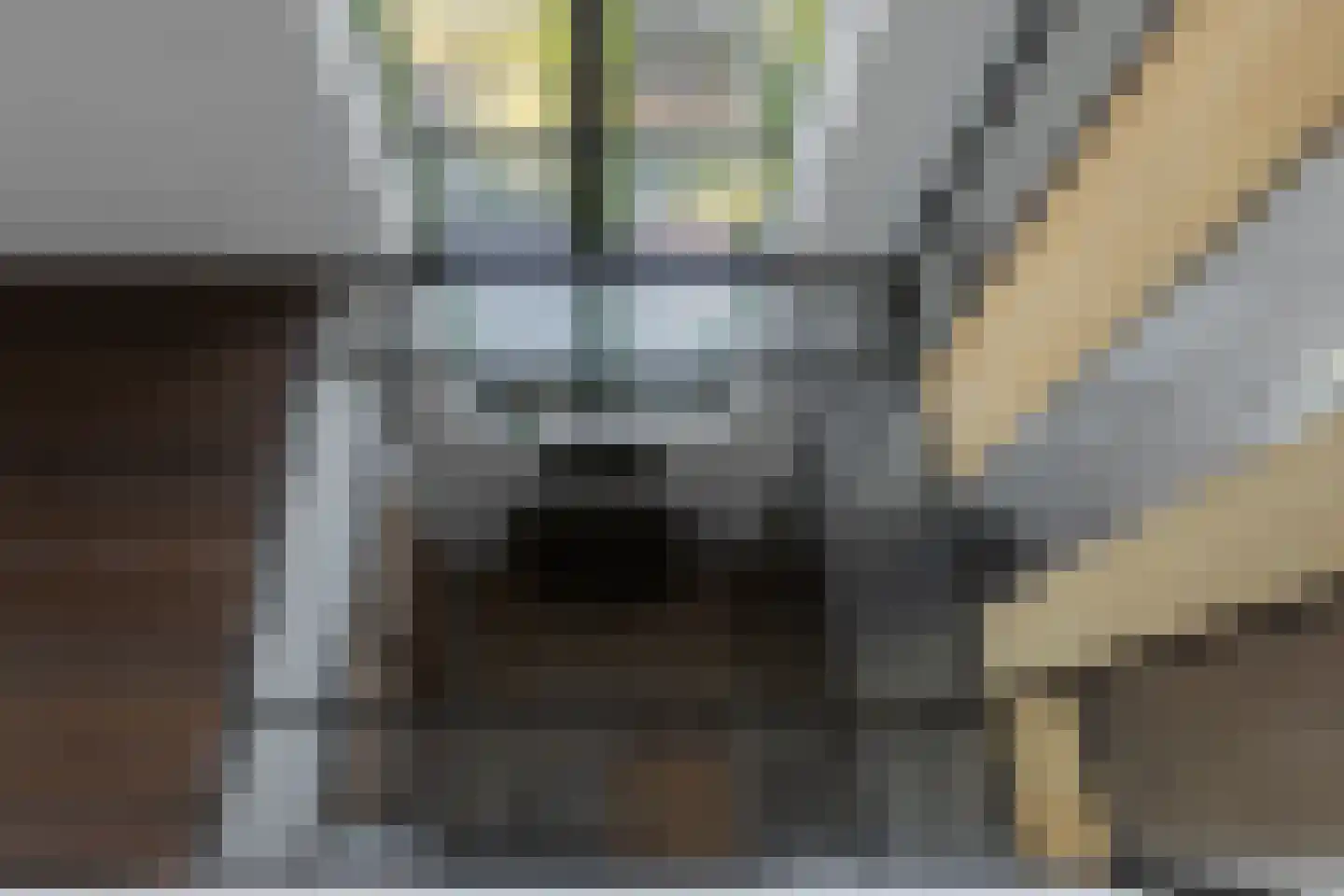 Tilledyk 16 Minnertsga thumbnail 48