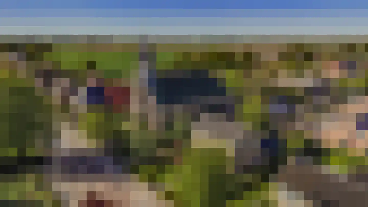 Tilledyk 16 Minnertsga thumbnail 6
