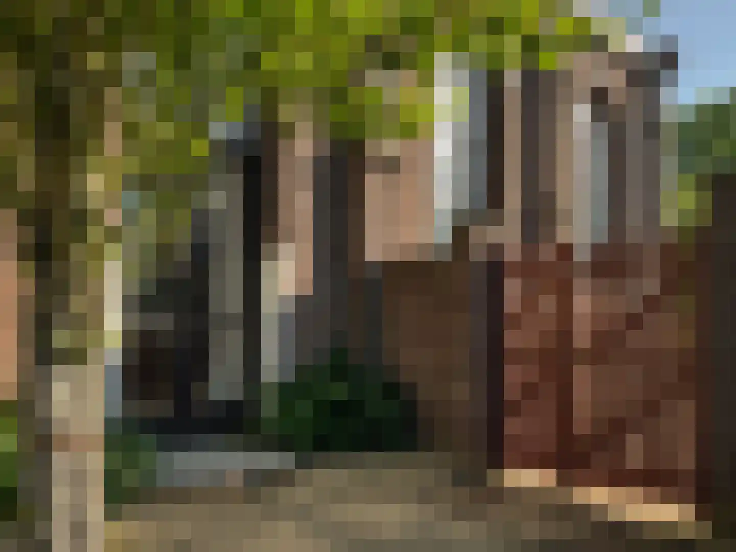 Tilledyk 16 Minnertsga thumbnail 75
