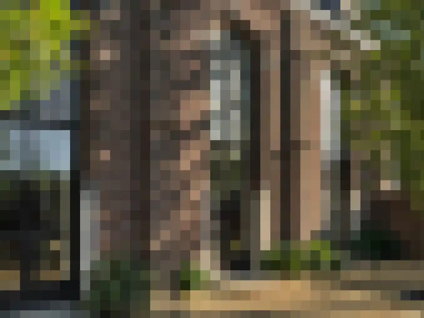Tilledyk 16 Minnertsga thumbnail 78