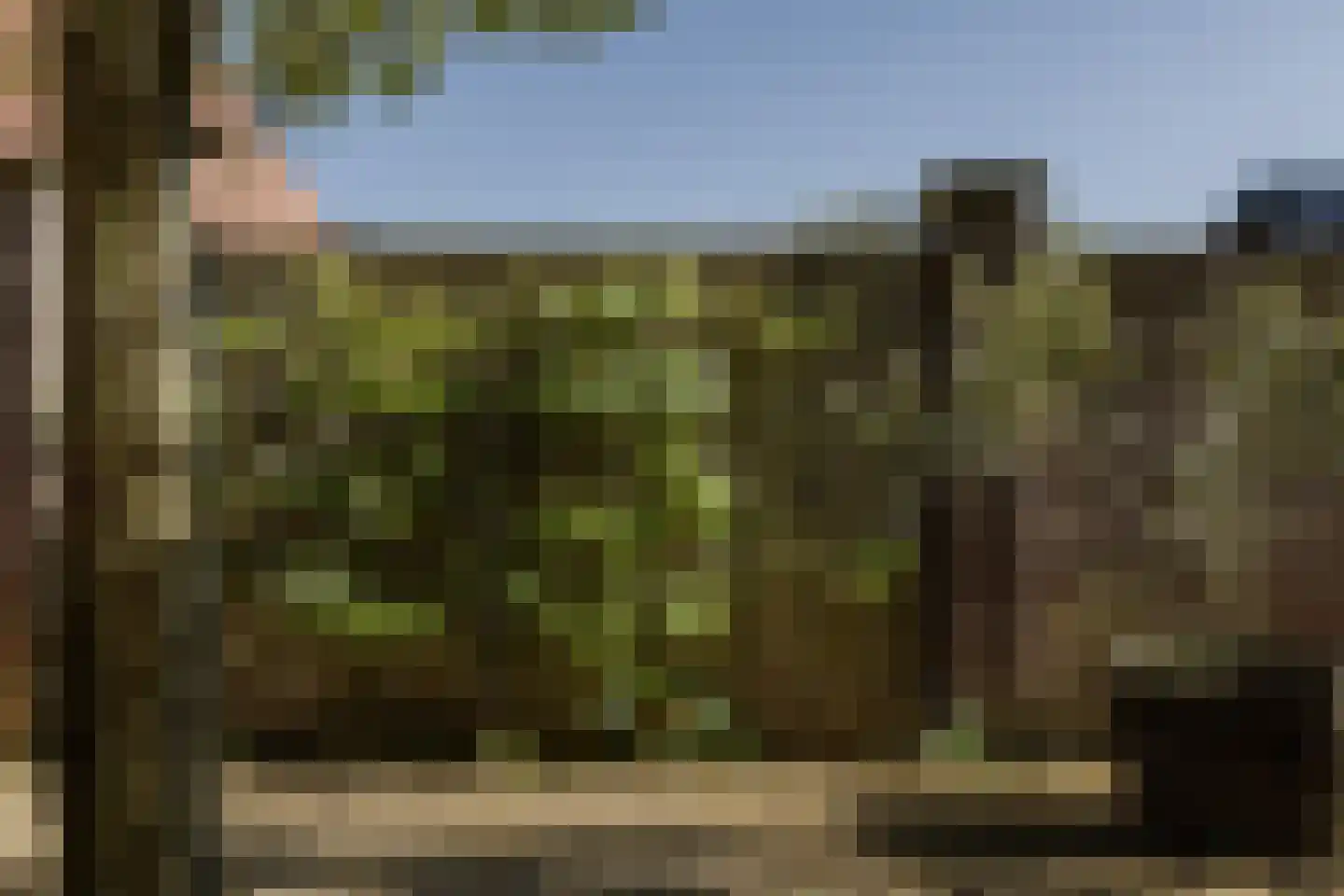 Tilledyk 16 Minnertsga thumbnail 82